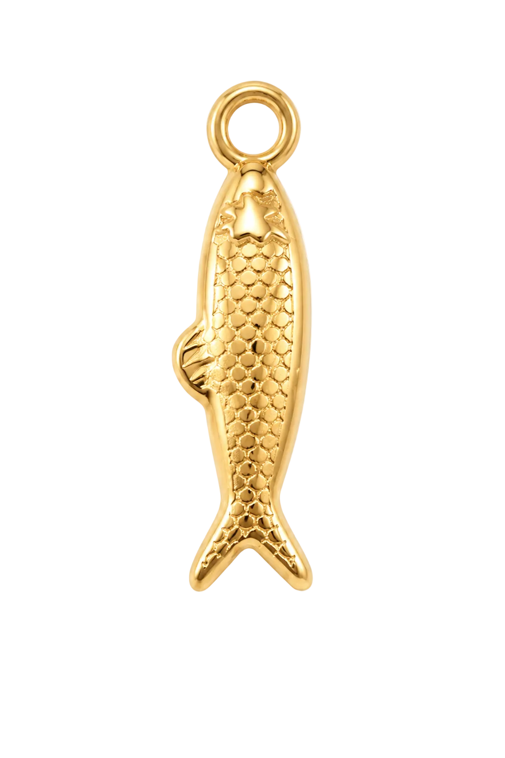 Fish Charm