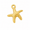 Asymetrical StarFishCharm 18K Gold Plated