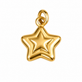 Golden Lumi Star Charm