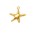 Golden Sea Starfish