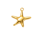 Golden Sea Starfish
