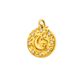 Moonlit Medallion Charm