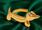Dashbund Ring