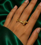 Dashbund Ring