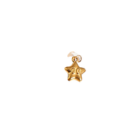 Twinkle Star Charm