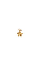 Twinkle Star Charm