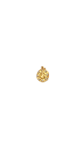 Moonlit Medallion Charm