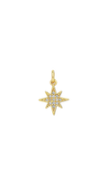 Golden North Star Charm