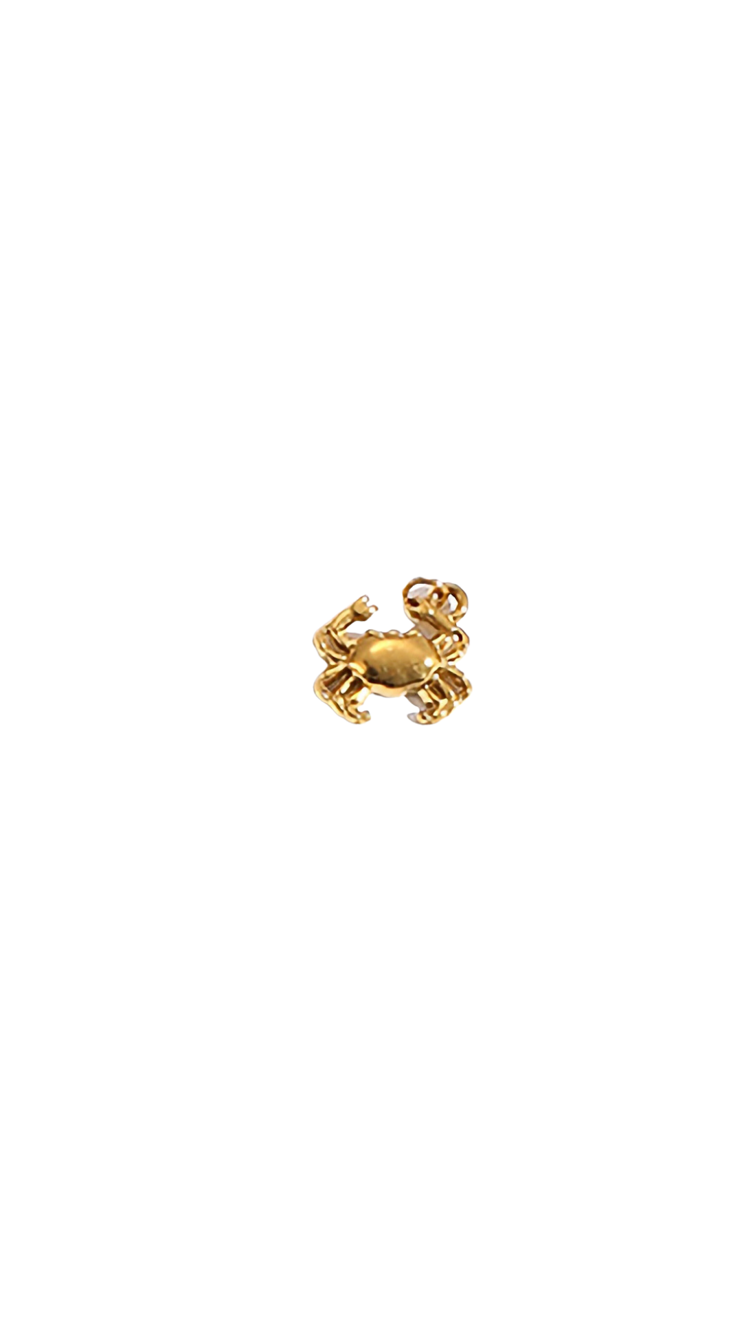 Golden Crab Charm