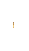 Golden Kai Charm