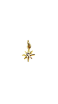 Golden Astra Charm
