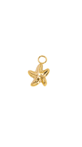 Golden Starfish Charm