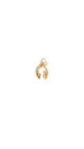 Golden Earphones