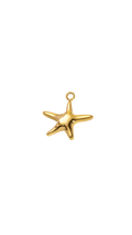 Golden Sea Starfish