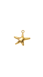 Golden Sea Starfish
